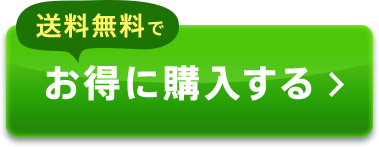 送料無料でお得に購入する