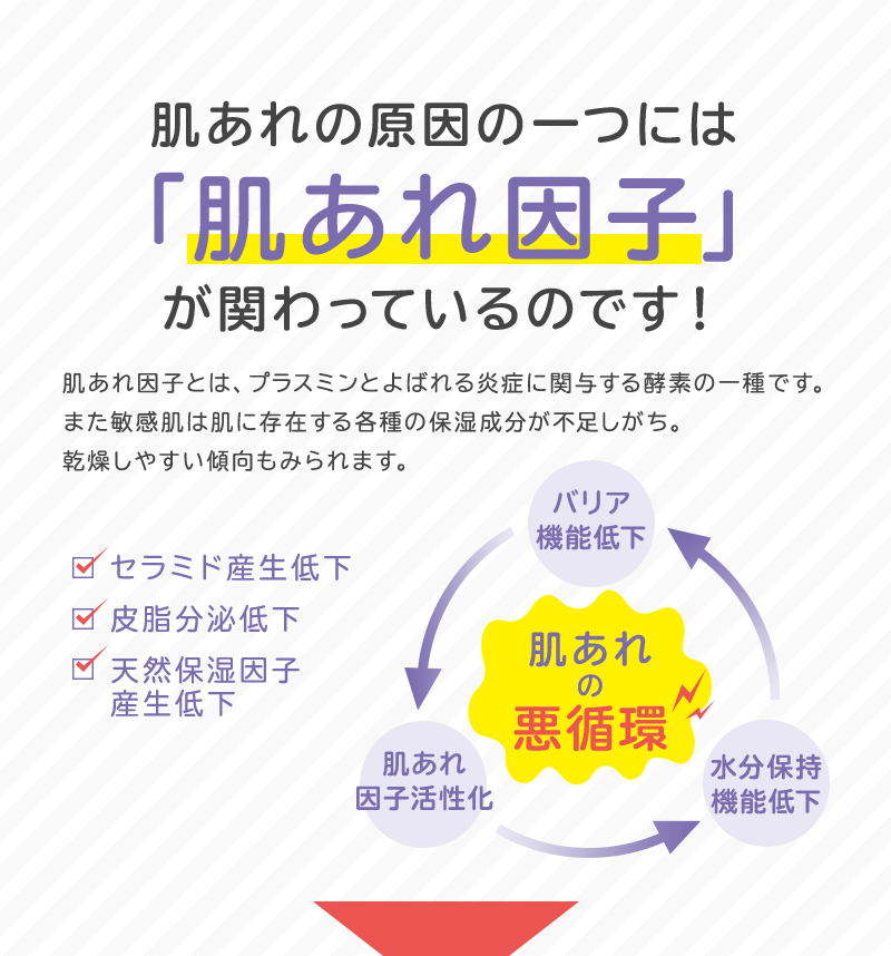 肌あれの原因の一つには「肌あれ因子」が関わっているのです！ 肌あれ因子とは、プラスミンとよばれる炎症に関与する酵素の一種です。また敏感肌は肌に存在する各種の保湿成分が不足しがち。乾燥しやすい傾向もみられます。