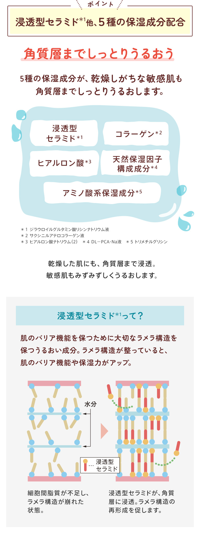 ポイント：浸透型セラミド他、5種の保湿成分配合