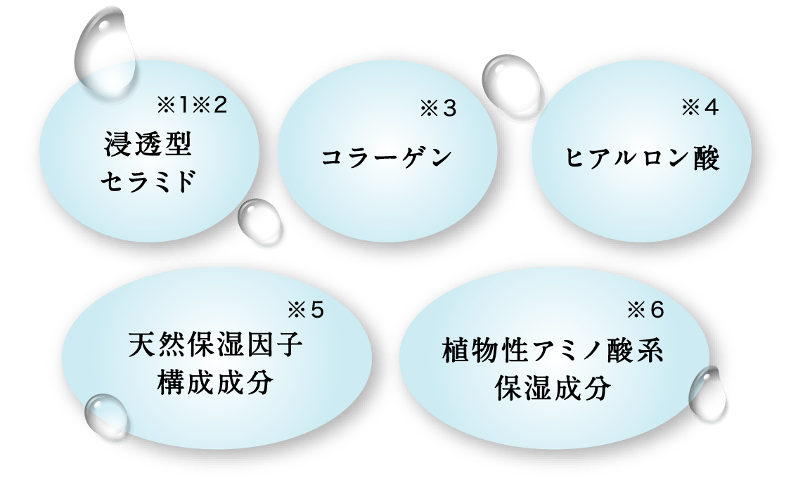 浸透型セラミド、コラーゲン、ヒアルロン酸、天然保湿因子構成成分、植物性アミノ酸系保湿成分