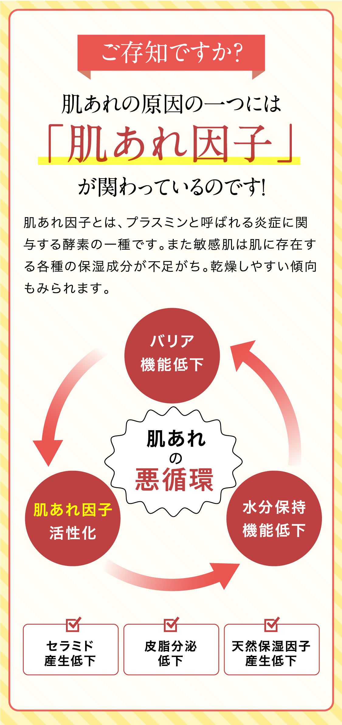 ご存知ですか？肌あれの原因の一つには「肌あれ因子」が関わっているのです！肌あれ因子とは、プラスミンと呼ばれる炎症に関与する酵素の一種です。また敏感肌は肌に存在する各種の保湿成分が不足がち。乾燥しやすい傾向もみられます。