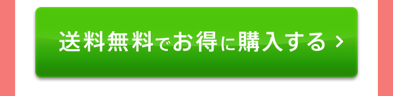 送料無料でお得に購入する