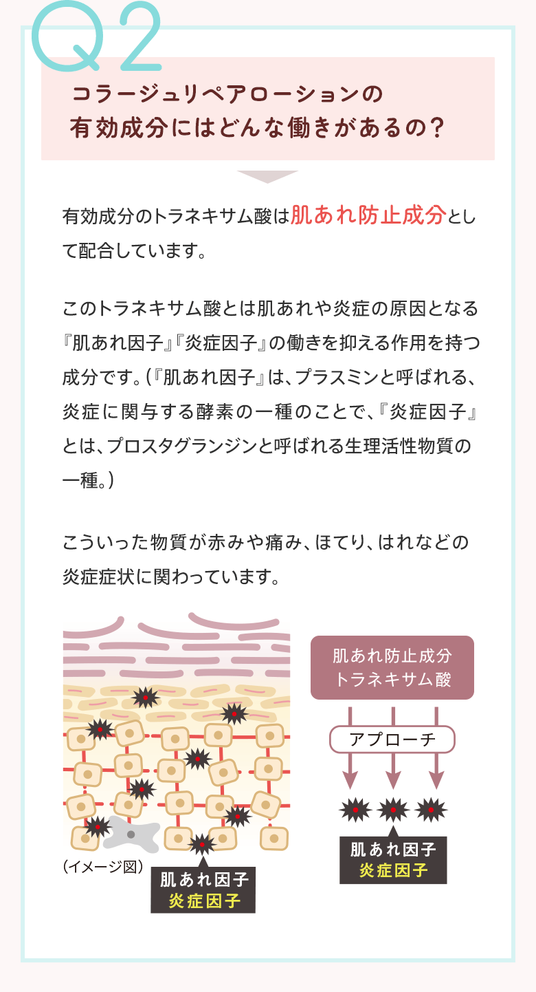 Q2：コラージュリペアローションの有効成分にはどんな働きがあるの？
