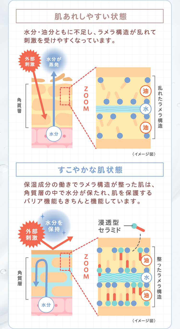 【肌あれしやすい状態】水分・油分ともに不足し、ラメラ構造が乱れて刺激を受けやすくなっています。【すこやかな肌状態】保湿成分の働きでラメラ構造が整った肌は、角質層の中で水分が保たれ、肌を保護するバリア機能もきちんと機能しています。