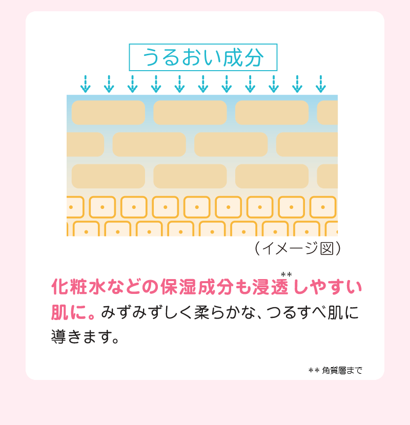 化粧水などの保湿成分も浸透しやすい肌に。みずみずしく柔らかな、つるすべ肌に導きます。