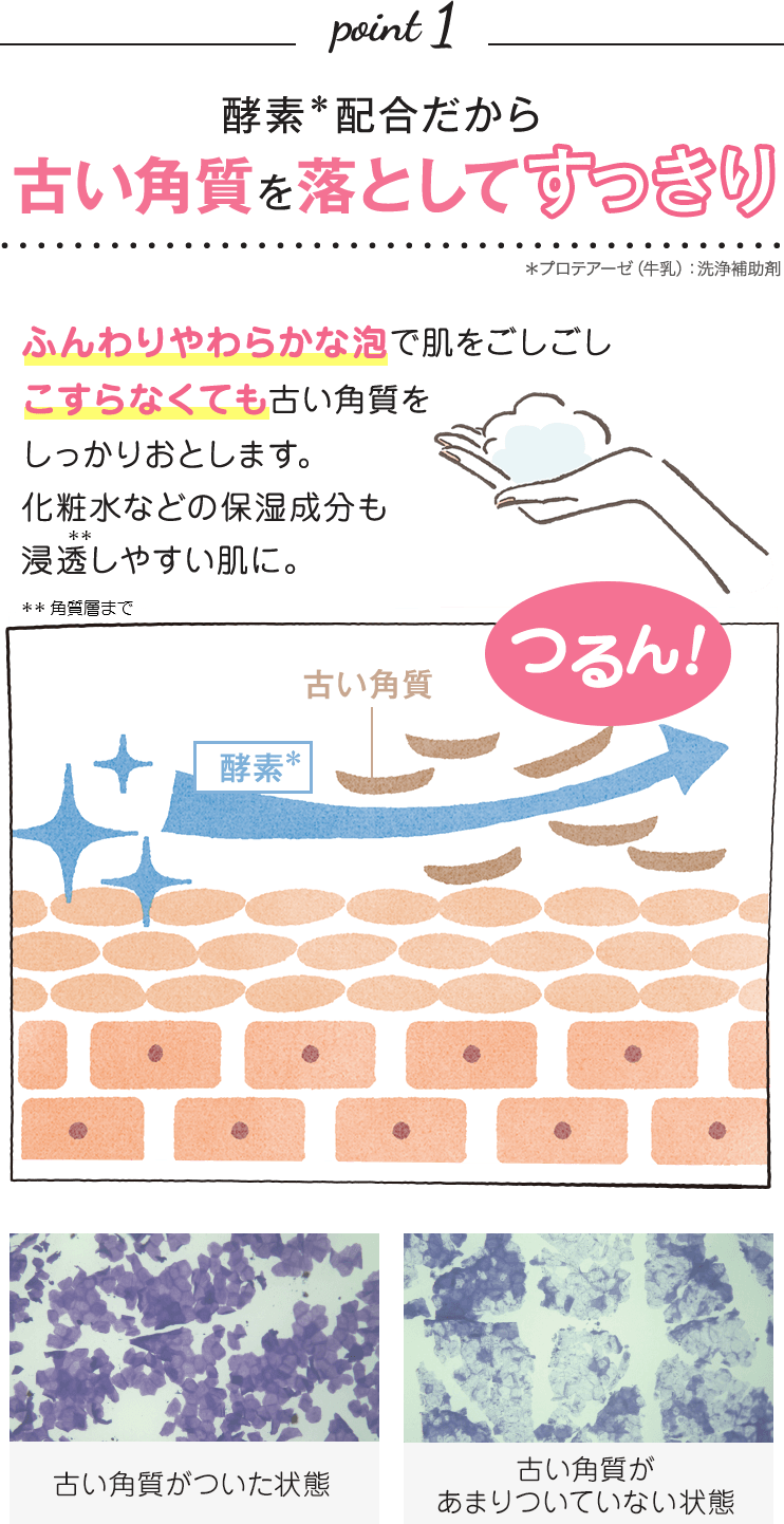 point 1 酵素＊配合だから古い角質を落としてすっきり ふんわりやわらかな泡で肌をごしごしこすらなくても古い角質をしっかりおとします。