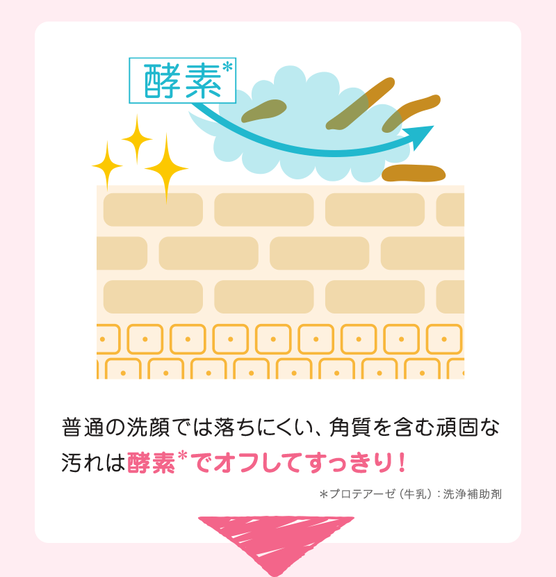 普通の洗顔では落ちにくい、角質を含む頑固な汚れは酵素＊でオフしてすっきり！