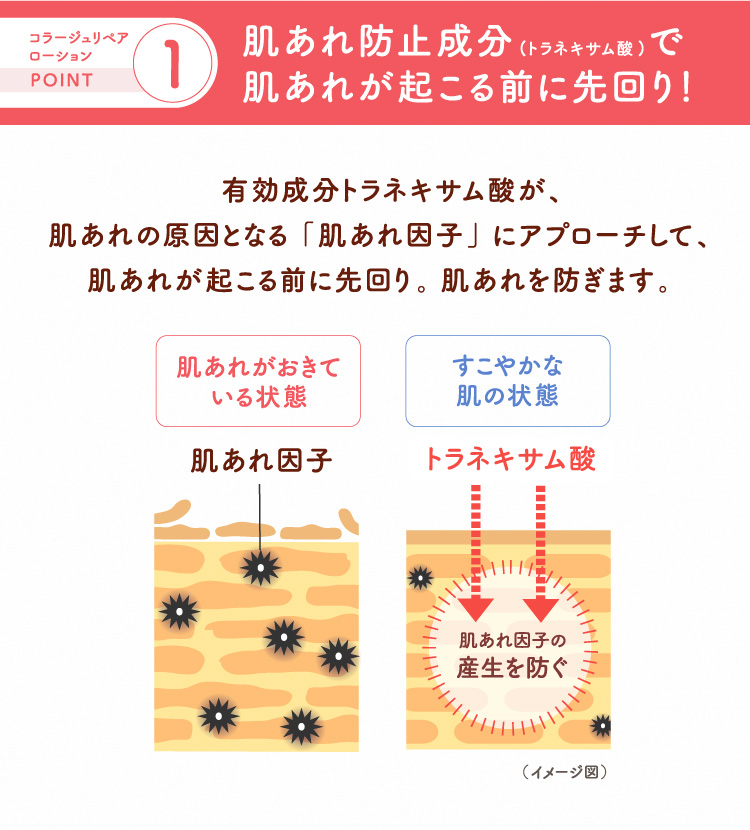 POINT1 肌あれ防止成分(トラネキサム酸)で肌あれが起こる前に先回り！ 有効成分トラネキサム酸が、肌あれの原因となる「肌あれ因子」にアプローチして、肌あれが起こる前に先回り。肌あれを防ぎます。