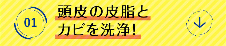 1 頭皮のカビと皮脂を洗浄！