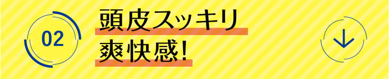 2 頭皮スッキリ爽快感！