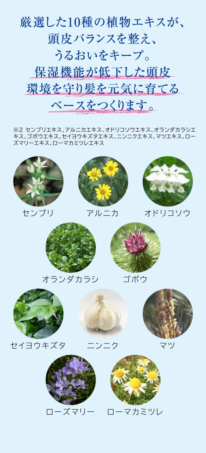 厳選した10種の植物エキスが、頭皮バランスを整え、うるおいをキープ。保湿機能が低下した頭皮環境を守り髪を元気に育てるベースをつくります。