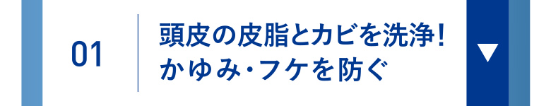 01 頭皮の皮脂とカビを洗浄！かゆみ・フケを防ぐ