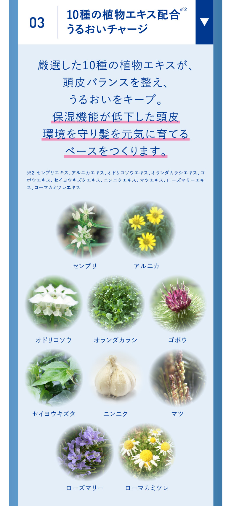 03 10種の植物エキス配合 うるおいチャージ