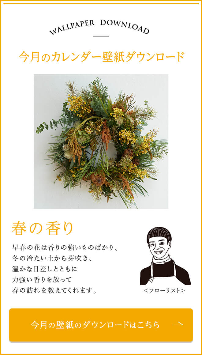 今月のカレンダー壁紙ダウンロード　春の香り 早春の花は香りの強いものばかり。冬の冷たい土から芽吹き、温かな日差しとともに力強い香りを放って春の訪れを教えてくれます。今月の壁紙のダウンロードはこちら