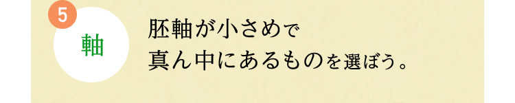 5.軸 胚軸が小さめで真ん中にあるものを選ぼう。