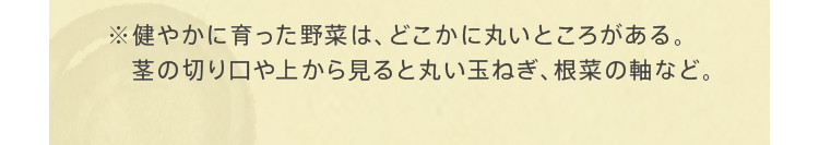※健やかに育った野菜は、どこかに丸いところがある。茎の切り口や上から見ると丸い玉ねぎ、根菜の軸など。