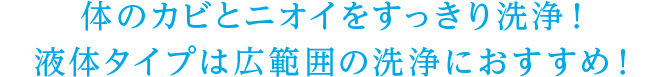 体のカビとニオイをすっきり洗浄！液体タイプは広範囲の洗浄におすすめ！