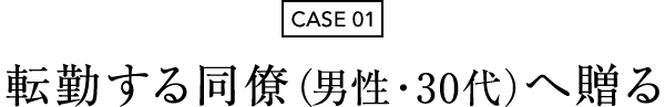 CASE 01 ]΂铯ijE30j֑