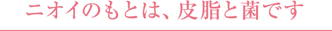 jIĈƂ́A玉Ƌۂł