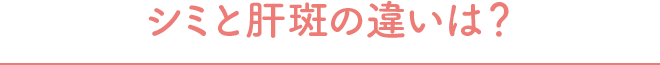V~Ɗ̔̈Ⴂ́H