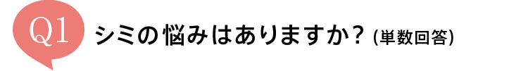 Q1 V~̔Y݂͂܂HiP񓚁j