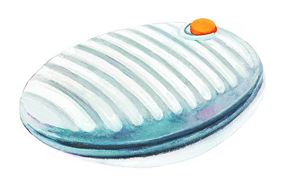 �������