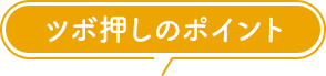 �c�{�����̃|�C���g