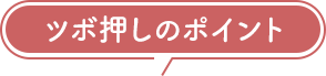 �c�{�����̃|�C���g